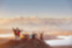 A team of people celebrating that they reached the peak of a mountain